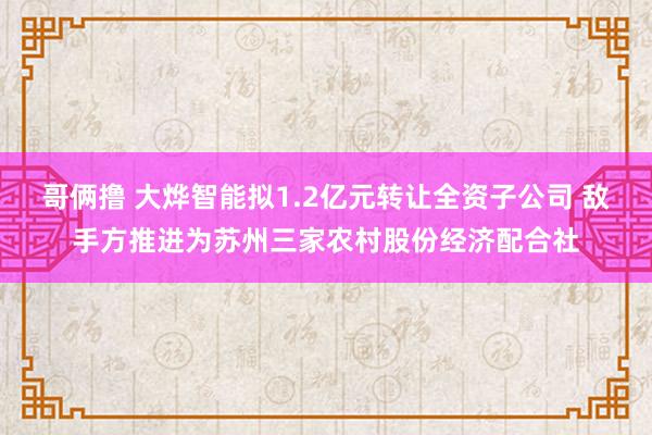 哥俩撸 大烨智能拟1.2亿元转让全资子公司 敌手方推进为苏州三家农村股份经济配合社