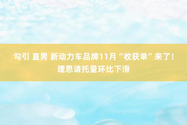 勾引 直男 新动力车品牌11月“收获单”来了！理思请托量环比下滑