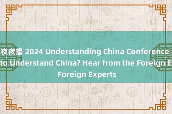 夜夜撸 2024 Understanding China Conference | How to Understand China? Hear from the Foreign Experts