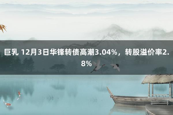 巨乳 12月3日华锋转债高潮3.04%，转股溢价率2.8%