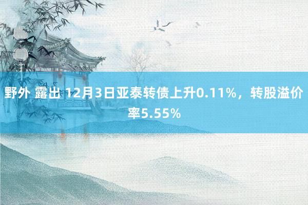 野外 露出 12月3日亚泰转债上升0.11%，转股溢价率5.55%