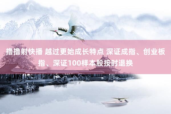 撸撸射快播 越过更始成长特点 深证成指、创业板指、深证100样本股按时退换