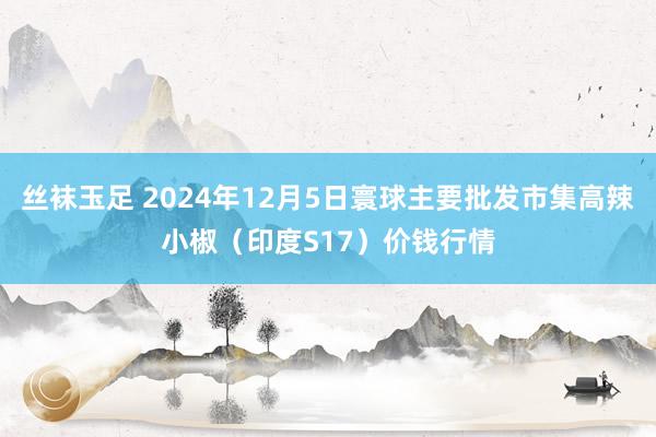 丝袜玉足 2024年12月5日寰球主要批发市集高辣小椒（印度S17）价钱行情