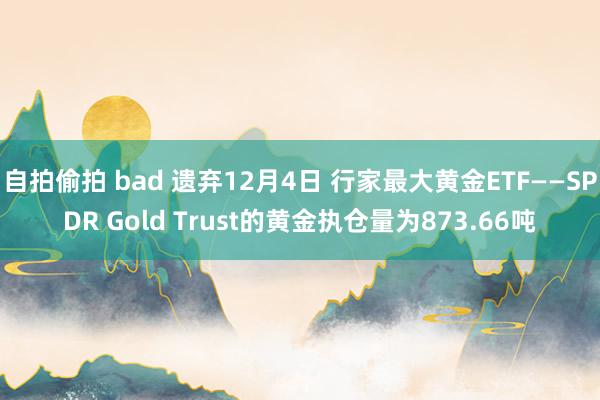 自拍偷拍 bad 遗弃12月4日 行家最大黄金ETF——SPDR Gold Trust的黄金执仓量为873.66吨