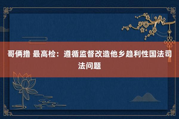 哥俩撸 最高检：遵循监督改造他乡趋利性国法司法问题