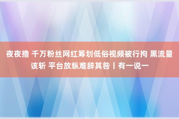 夜夜撸 千万粉丝网红筹划低俗视频被行拘 黑流量该斩 平台放纵难辞其咎丨有一说一