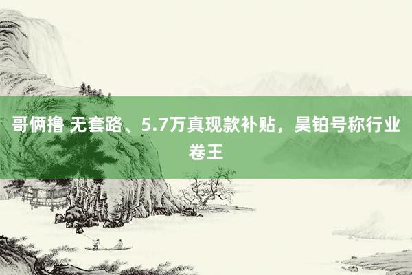 哥俩撸 无套路、5.7万真现款补贴，昊铂号称行业卷王