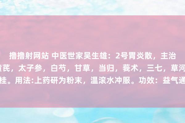 撸撸射网站 中医世家吴生雄：2号胃炎散，主治：萎缩性胃炎。方药:黄芪，太子参，白芍，甘草，当归，莪术，三七，草河车，丹参，肉桂。用法:上药研为粉末，温滚水冲服。功效：益气通络，活血祛瘀。方义简释：病至萎缩性...