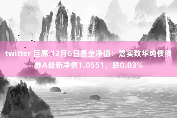 twitter 巨屌 12月6日基金净值：嘉实致华纯债债券A最新净值1.0551，跌0.03%