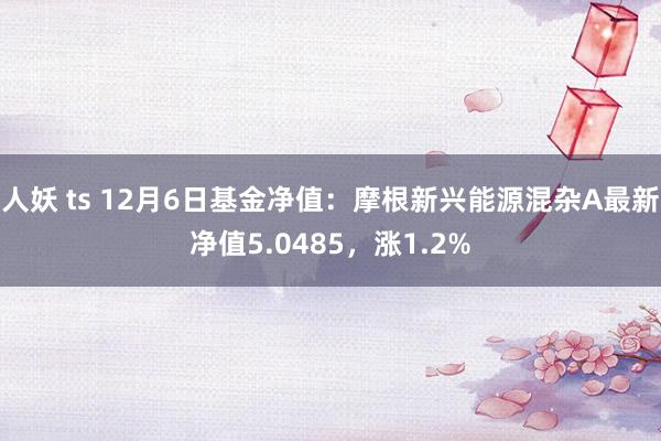 人妖 ts 12月6日基金净值：摩根新兴能源混杂A最新净值5.0485，涨1.2%