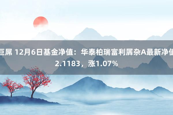 巨屌 12月6日基金净值：华泰柏瑞富利羼杂A最新净值2.1183，涨1.07%