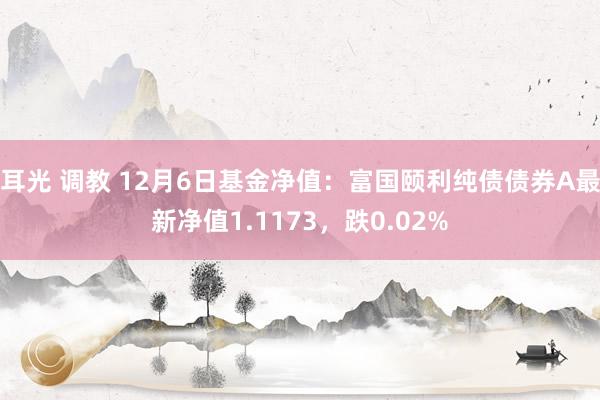 耳光 调教 12月6日基金净值：富国颐利纯债债券A最新净值1.1173，跌0.02%