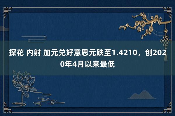 探花 内射 加元兑好意思元跌至1.4210，创2020年4月以来最低