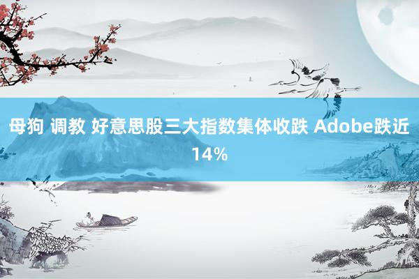 母狗 调教 好意思股三大指数集体收跌 Adobe跌近14%