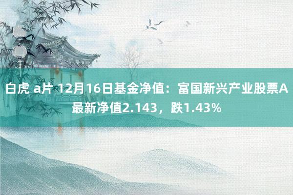 白虎 a片 12月16日基金净值：富国新兴产业股票A最新净值2.143，跌1.43%