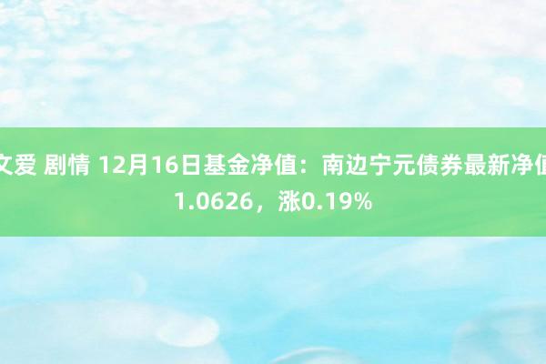 文爱 剧情 12月16日基金净值：南边宁元债券最新净值1.0626，涨0.19%