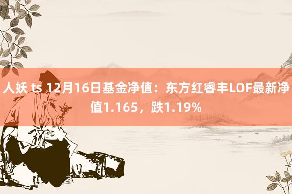 人妖 ts 12月16日基金净值：东方红睿丰LOF最新净值1.165，跌1.19%