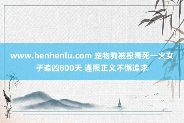 www.henhenlu.com 宠物狗被投毒死一火女子追凶800天 遵照正义不懈追求