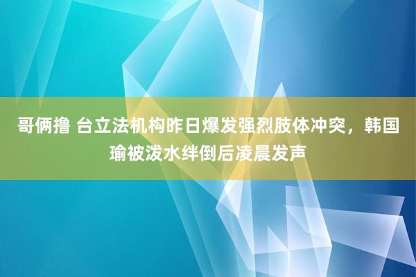 哥俩撸 台立法机构昨日爆发强烈肢体冲突，韩国瑜被泼水绊倒后凌晨发声