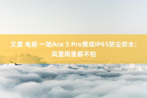 文爱 电报 一加Ace 5 Pro赞成IP65防尘防水：风里雨里都不怕