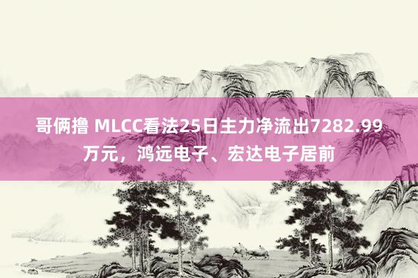 哥俩撸 MLCC看法25日主力净流出7282.99万元，鸿远电子、宏达电子居前