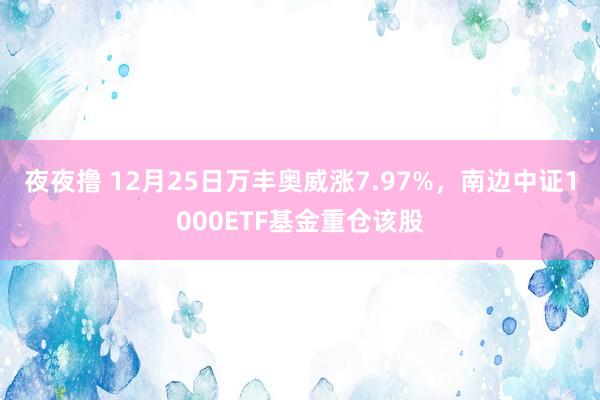 夜夜撸 12月25日万丰奥威涨7.97%，南边中证1000ETF基金重仓该股