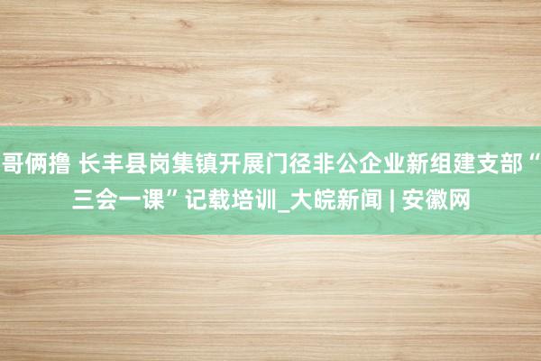 哥俩撸 长丰县岗集镇开展门径非公企业新组建支部“三会一课”记载培训_大皖新闻 | 安徽网