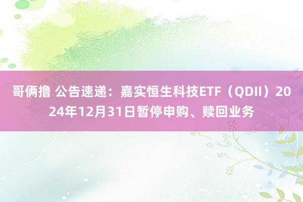 哥俩撸 公告速递：嘉实恒生科技ETF（QDII）2024年12月31日暂停申购、赎回业务