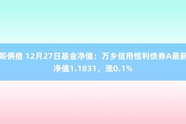 哥俩撸 12月27日基金净值：万乡信用恒利债券A最新净值1.1831，涨0.1%