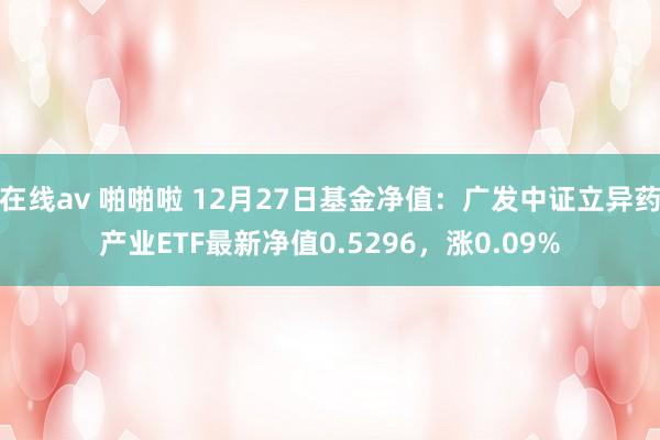 在线av 啪啪啦 12月27日基金净值：广发中证立异药产业ETF最新净值0.5296，涨0.09%