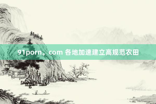 91porn。com 各地加速建立高规范农田