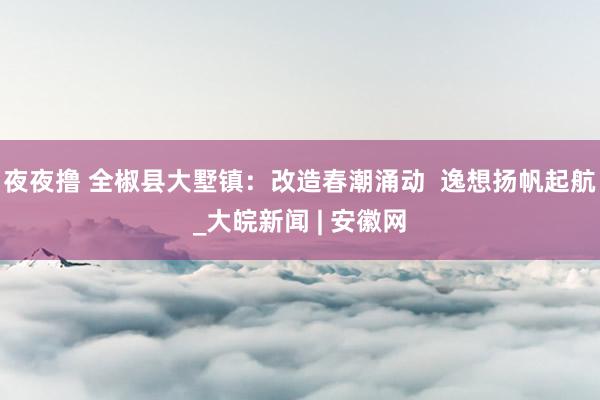 夜夜撸 全椒县大墅镇：改造春潮涌动  逸想扬帆起航_大皖新闻 | 安徽网