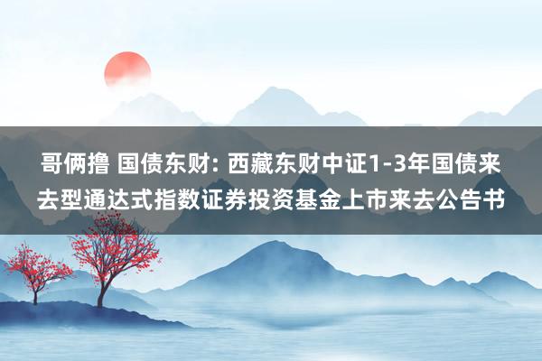 哥俩撸 国债东财: 西藏东财中证1-3年国债来去型通达式指数证券投资基金上市来去公告书