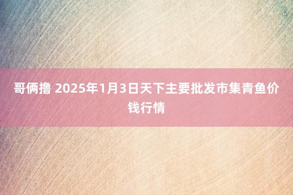 哥俩撸 2025年1月3日天下主要批发市集青鱼价钱行情