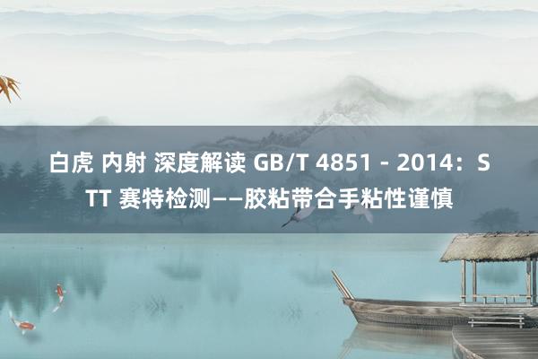 白虎 内射 深度解读 GB/T 4851 - 2014：STT 赛特检测——胶粘带合手粘性谨慎