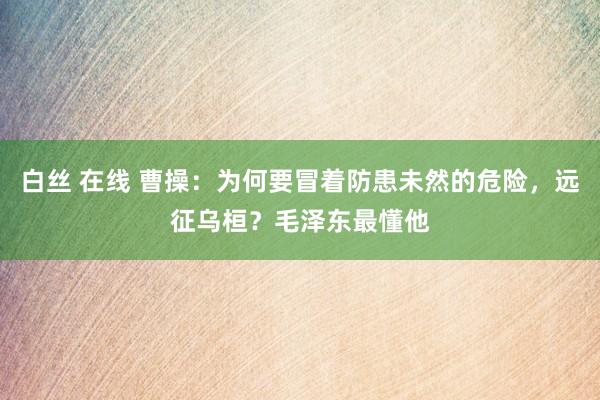 白丝 在线 曹操：为何要冒着防患未然的危险，远征乌桓？毛泽东最懂他