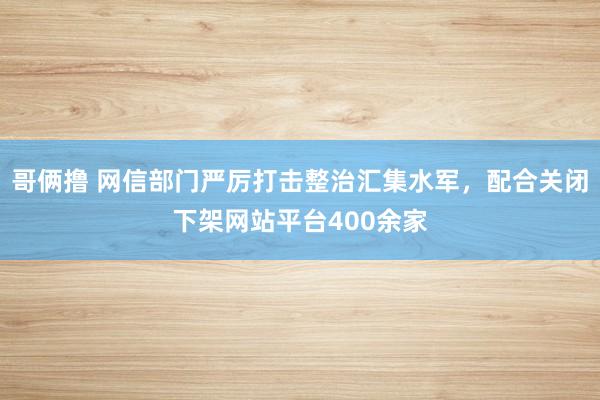 哥俩撸 网信部门严厉打击整治汇集水军，配合关闭下架网站平台400余家