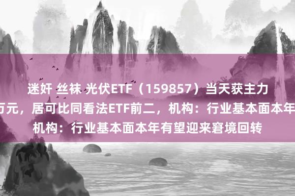 迷奸 丝袜 光伏ETF（159857）当天获主力资金流入近7000万元，居可比同看法ETF前二，机构：行业基本面本年有望迎来窘境回转