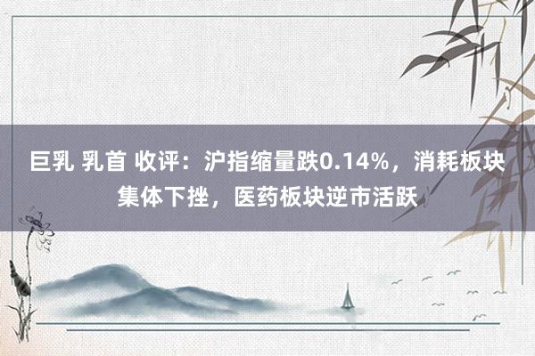 巨乳 乳首 收评：沪指缩量跌0.14%，消耗板块集体下挫，医药板块逆市活跃