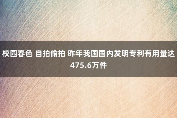 校园春色 自拍偷拍 昨年我国国内发明专利有用量达475.6万件