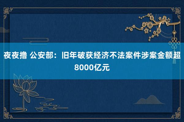 夜夜撸 公安部：旧年破获经济不法案件涉案金额超8000亿元