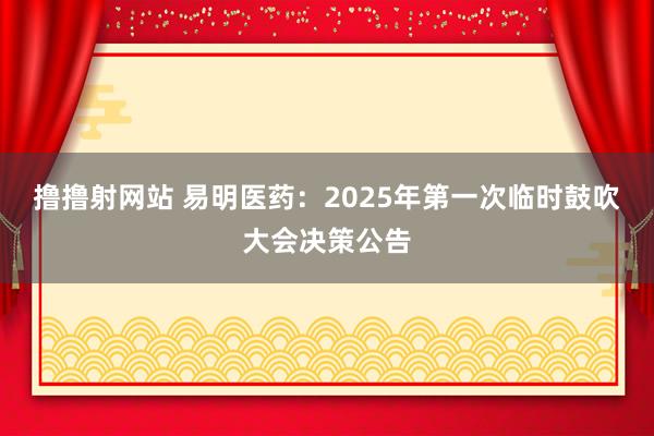 撸撸射网站 易明医药：2025年第一次临时鼓吹大会决策公告