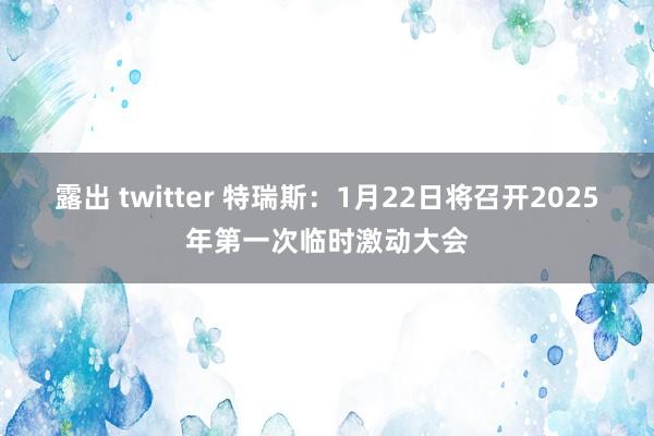 露出 twitter 特瑞斯：1月22日将召开2025年第一次临时激动大会