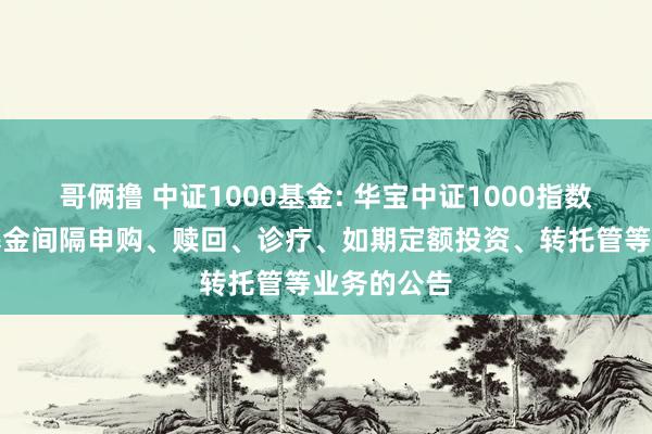 哥俩撸 中证1000基金: 华宝中证1000指数证券投资基金间隔申购、赎回、诊疗、如期定额投资、转托管等业务的公告