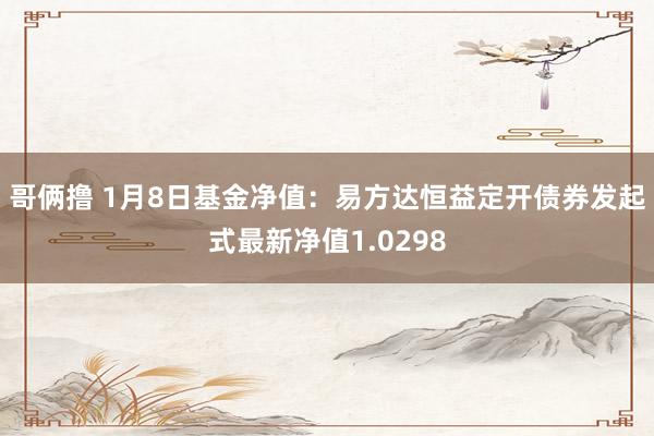 哥俩撸 1月8日基金净值：易方达恒益定开债券发起式最新净值1.0298