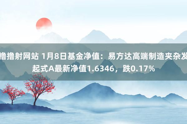 撸撸射网站 1月8日基金净值：易方达高端制造夹杂发起式A最新净值1.6346，跌0.17%