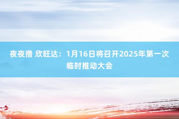 夜夜撸 欣旺达：1月16日将召开2025年第一次临时推动大会