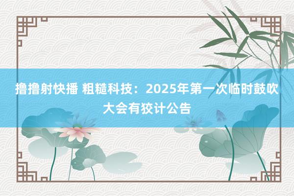 撸撸射快播 粗糙科技：2025年第一次临时鼓吹大会有狡计公告