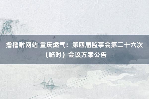 撸撸射网站 重庆燃气：第四届监事会第二十六次（临时）会议方案公告