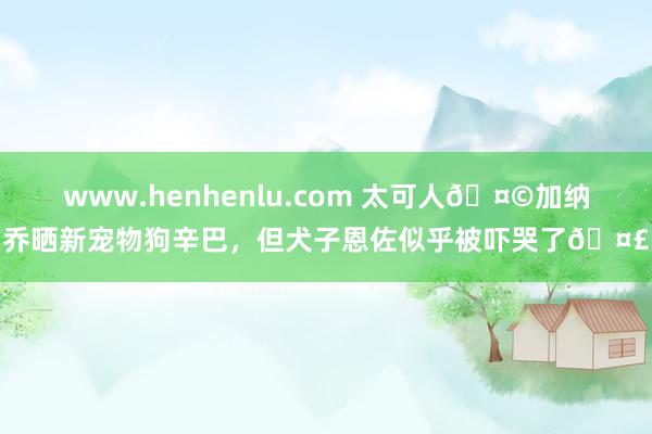 www.henhenlu.com 太可人🤩加纳乔晒新宠物狗辛巴，但犬子恩佐似乎被吓哭了🤣